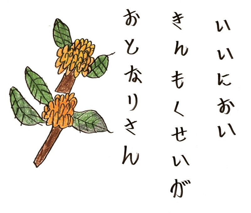 Drawing of a sweet-olive branch with orange flowers
